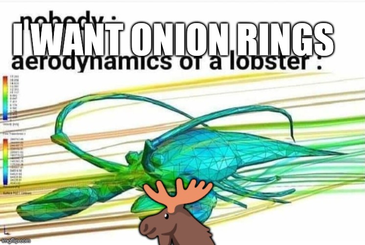 ? | I WANT ONION RINGS; 🫎 | image tagged in aerodynamics of a lobster,ring | made w/ Imgflip meme maker