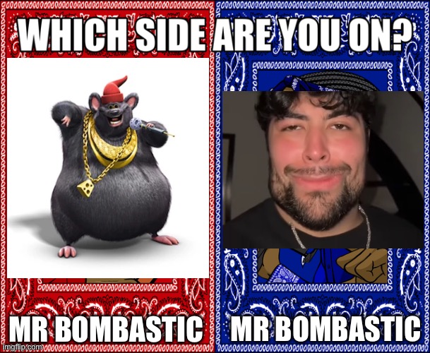 Mr bombastic | MR BOMBASTIC; MR BOMBASTIC | image tagged in which side are you on | made w/ Imgflip meme maker