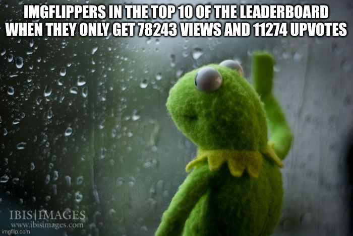 No hate | IMGFLIPPERS IN THE TOP 10 OF THE LEADERBOARD WHEN THEY ONLY GET 78243 VIEWS AND 11274 UPVOTES | image tagged in kermit window | made w/ Imgflip meme maker