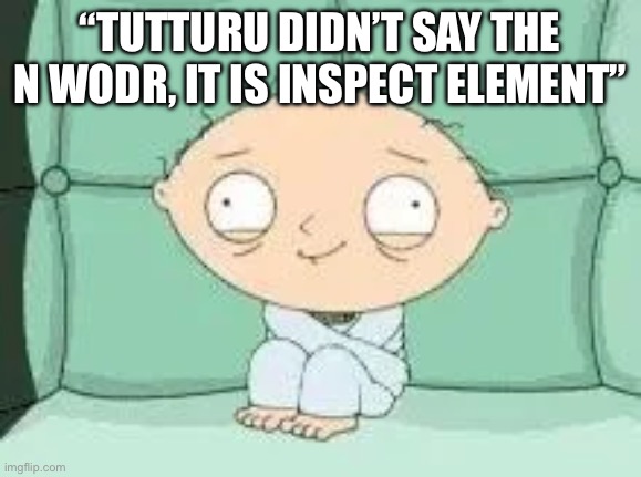 He made graduation | “TUTTURU DIDN’T SAY THE N WODR, IT IS INSPECT ELEMENT” | image tagged in he made graduation | made w/ Imgflip meme maker