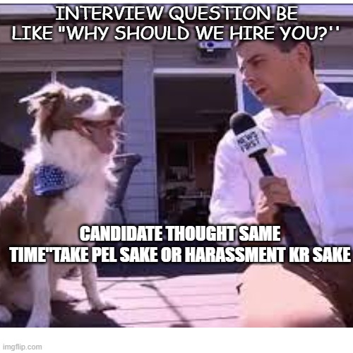 Thug Life Interviewer | INTERVIEW QUESTION BE LIKE "WHY SHOULD WE HIRE YOU?''; CANDIDATE THOUGHT SAME TIME"TAKE PEL SAKE OR HARASSMENT KR SAKE | image tagged in thug life | made w/ Imgflip meme maker