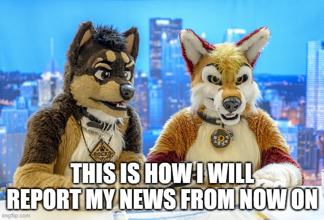 Furry News | THIS IS HOW I WILL REPORT MY NEWS FROM NOW ON | image tagged in furry news | made w/ Imgflip meme maker