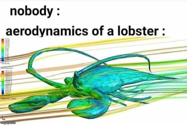 Aerodynamics of a lobster | image tagged in aerodynamics of a lobster | made w/ Imgflip meme maker