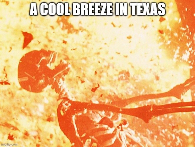 Fire skeleton | A COOL BREEZE IN TEXAS | image tagged in fire skeleton | made w/ Imgflip meme maker