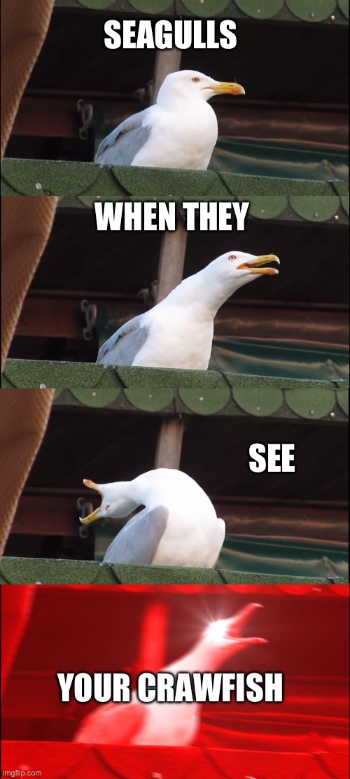 Inhaling Seagull | SEAGULLS; WHEN THEY; SEE; YOUR CRAWFISH | image tagged in memes,inhaling seagull | made w/ Imgflip meme maker