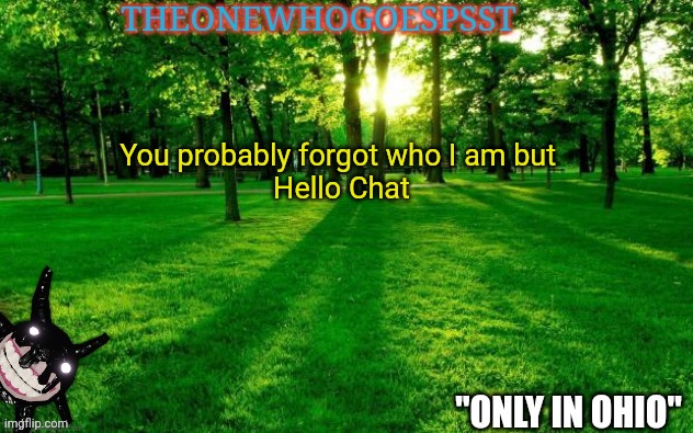 You probably forgot who I am but 
Hello Chat | image tagged in theonewhogoespsst announcement | made w/ Imgflip meme maker