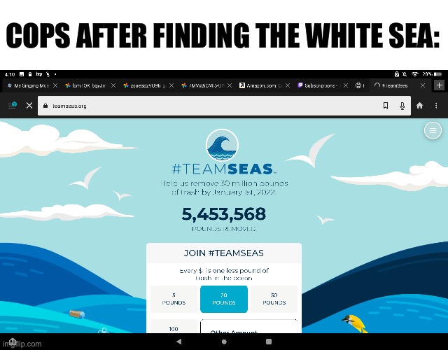 Team seas | COPS AFTER FINDING THE WHITE SEA: | image tagged in team seas | made w/ Imgflip meme maker