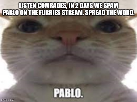 Read the comments | LISTEN COMRADES, IN 2 DAYS WE SPAM PABLO ON THE FURRIES STREAM. SPREAD THE WORD. | image tagged in pablo | made w/ Imgflip meme maker
