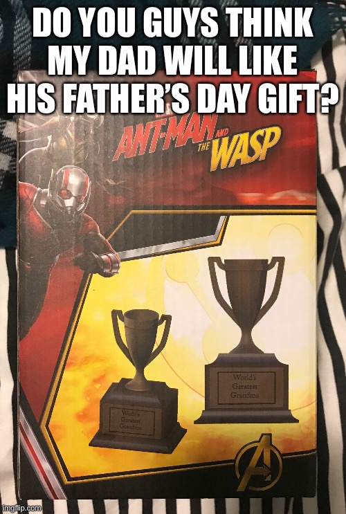World’s Greatest Grandma | DO YOU GUYS THINK MY DAD WILL LIKE HIS FATHER’S DAY GIFT? | image tagged in ant man,gift | made w/ Imgflip meme maker
