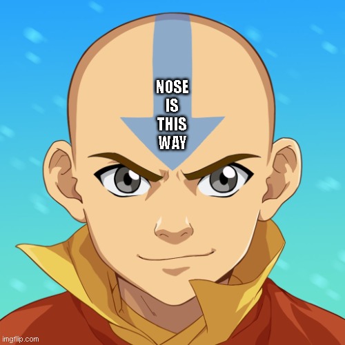 In case you were wondering... | NOSE
IS
THIS
WAY | image tagged in what's the arrow pointing to,mystery solved,helpful reminder | made w/ Imgflip meme maker