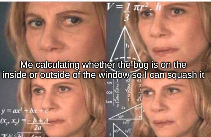 hmmm | Me calculating whether the bug is on the inside or outside of the window so I can squash it | image tagged in math lady/confused lady | made w/ Imgflip meme maker