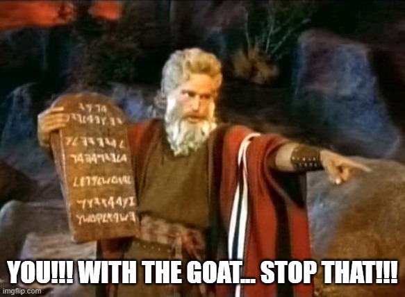 goat lovin' | YOU!!! WITH THE GOAT... STOP THAT!!! | image tagged in moses | made w/ Imgflip meme maker