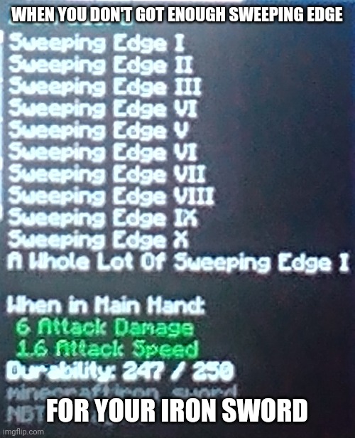 Hmmmmmmmm | WHEN YOU DON'T GOT ENOUGH SWEEPING EDGE; FOR YOUR IRON SWORD | image tagged in funny,memes,minecraft,gaming | made w/ Imgflip meme maker
