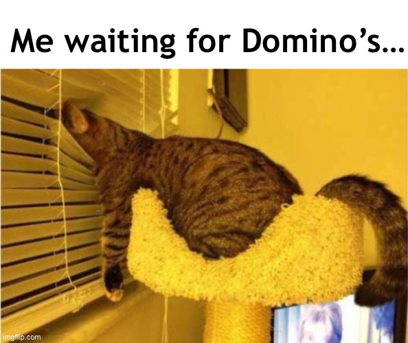 The Domino’s Effect | Me waiting for Domino’s… | image tagged in funny meme,cats,food,waiting | made w/ Imgflip meme maker