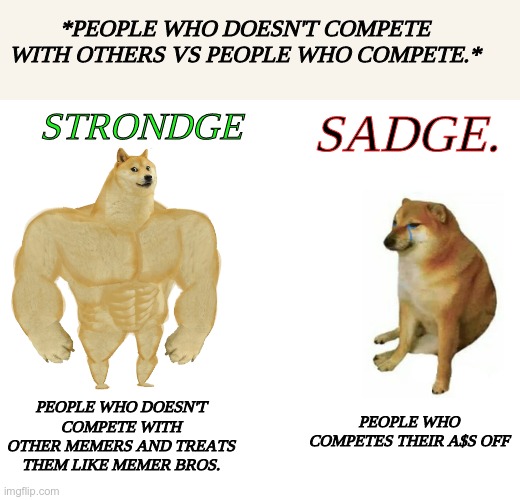 Which type are you? I'm the strondge type. | *PEOPLE WHO DOESN'T COMPETE WITH OTHERS VS PEOPLE WHO COMPETE.*; STRONDGE; SADGE. PEOPLE WHO DOESN'T COMPETE WITH OTHER MEMERS AND TREATS THEM LIKE MEMER BROS. PEOPLE WHO COMPETES THEIR A$S OFF | image tagged in memes,buff doge vs cheems | made w/ Imgflip meme maker