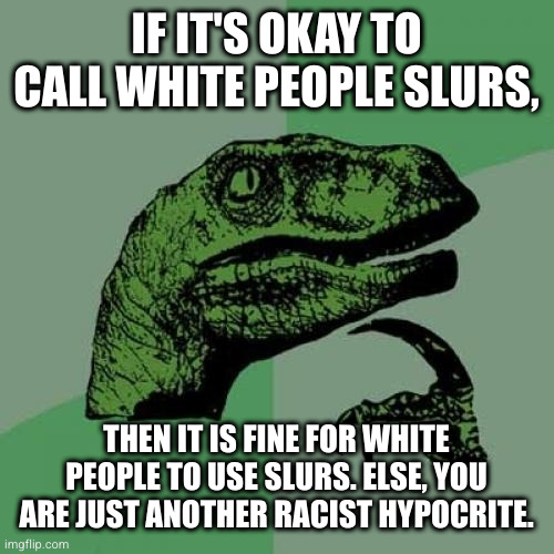 monopolizing language is racism | IF IT'S OKAY TO CALL WHITE PEOPLE SLURS, THEN IT IS FINE FOR WHITE PEOPLE TO USE SLURS. ELSE, YOU ARE JUST ANOTHER RACIST HYPOCRITE. | image tagged in memes,philosoraptor | made w/ Imgflip meme maker