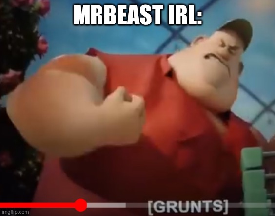 Fat Guy Sausage Party | MRBEAST IRL: | image tagged in fat guy sausage party | made w/ Imgflip meme maker