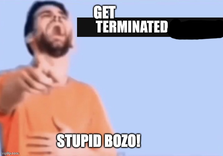 Get low rated stupid bozo | TERMINATED | image tagged in get low rated stupid bozo | made w/ Imgflip meme maker