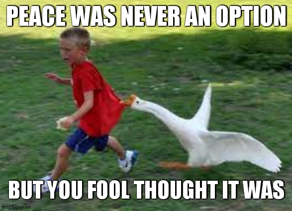 Peace was never an option and it still now ! | PEACE WAS NEVER AN OPTION; BUT YOU FOOL THOUGHT IT WAS | image tagged in honk,peace was never an option,goose,fool,animal attack | made w/ Imgflip meme maker