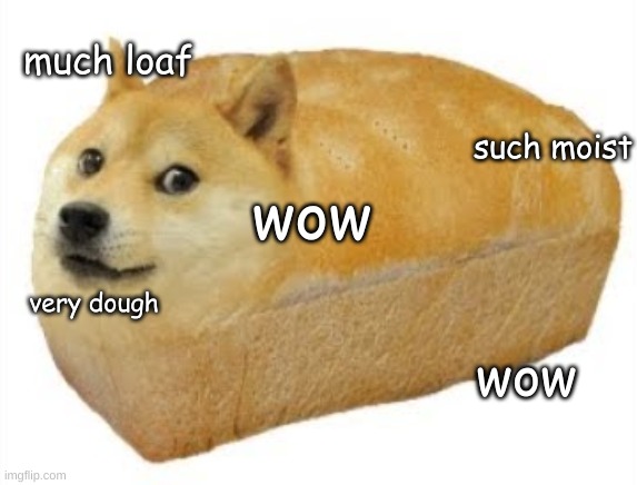 doge bred | much loaf; such moist; wow; very dough; wow | image tagged in bred doge,doge | made w/ Imgflip meme maker