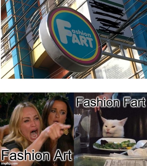 Woman Yelling At Cat | Fashion Fart; Fashion Art | image tagged in memes,woman yelling at cat,fashion,art,fart | made w/ Imgflip meme maker