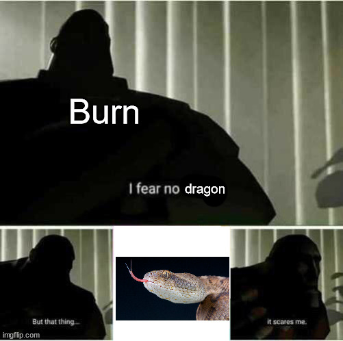 I fear no man | Burn; dragon | image tagged in i fear no man | made w/ Imgflip meme maker