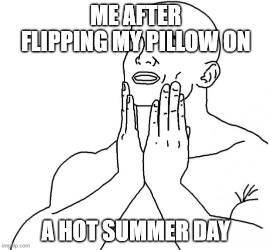 the best felling ever! | ME AFTER FLIPPING MY PILLOW ON; A HOT SUMMER DAY | image tagged in good feeling | made w/ Imgflip meme maker