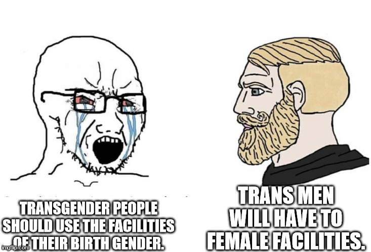 TRANS VS CIS WARS | TRANS MEN WILL HAVE TO FEMALE FACILITIES. TRANSGENDER PEOPLE SHOULD USE THE FACILITIES OF THEIR BIRTH GENDER. | image tagged in soyboy vs yes chad | made w/ Imgflip meme maker