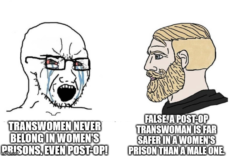 TRANSWOMEN IN PRISON | FALSE. A POST-OP TRANSWOMAN IS FAR SAFER IN A WOMEN'S PRISON THAN A MALE ONE. TRANSWOMEN NEVER BELONG IN WOMEN'S PRISONS, EVEN POST-OP! | image tagged in soyboy vs yes chad | made w/ Imgflip meme maker