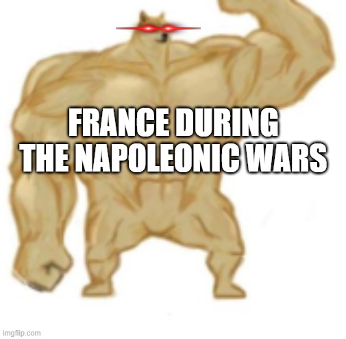 FRANCE DURING THE NAPOLEONIC WARS | image tagged in ultra buff doge | made w/ Imgflip meme maker