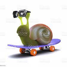 High Quality badass stock photo of a snail on a skateboard with sunglasses Blank Meme Template