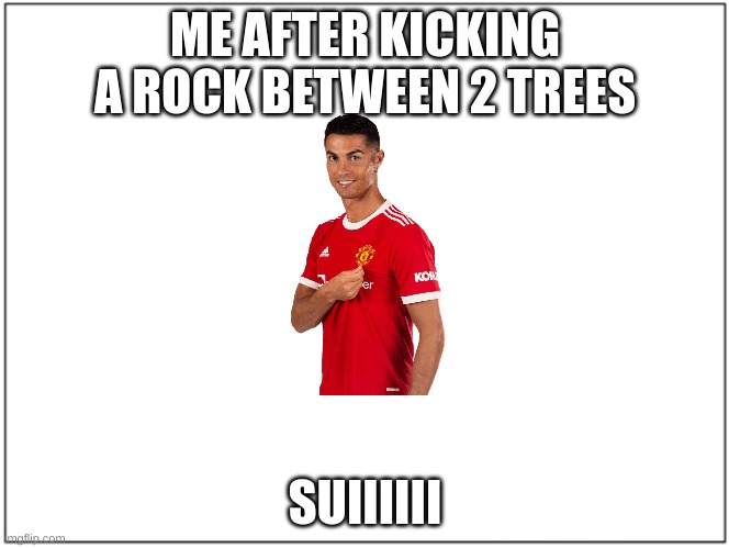 Ronaldo | ME AFTER KICKING A ROCK BETWEEN 2 TREES; SUIIIIII | image tagged in 1x1 square | made w/ Imgflip meme maker