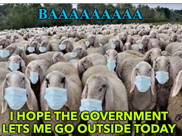 BAAAAAAAAA | BAAAAAAAAA; I HOPE THE GOVERNMENT LETS ME GO OUTSIDE TODAY | image tagged in sheeple | made w/ Imgflip meme maker
