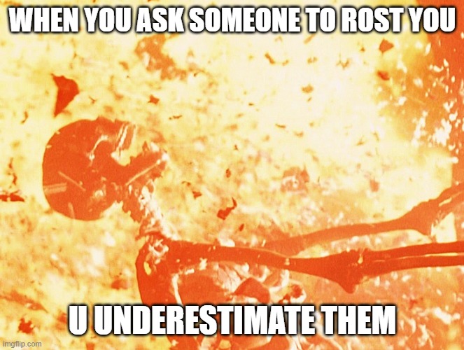 Fire skeleton | WHEN YOU ASK SOMEONE TO ROST YOU; U UNDERESTIMATE THEM | image tagged in fire skeleton | made w/ Imgflip meme maker