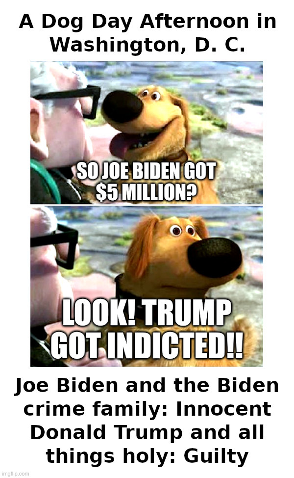A Dog Day Afternoon in Washington, D. C. | image tagged in joe biden,biden crime family,innocent,donald trump,all things holy,guilty | made w/ Imgflip meme maker
