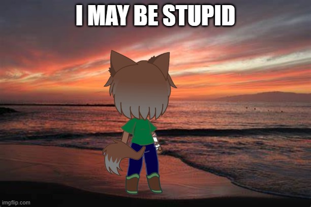 Why did I make this? | I MAY BE STUPID | image tagged in gacha | made w/ Imgflip meme maker