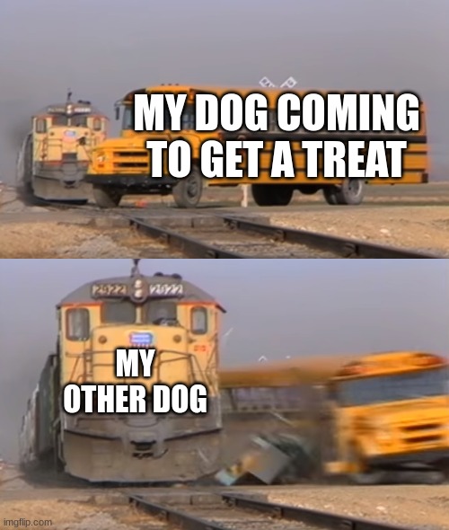 A train hitting a school bus | MY DOG COMING TO GET A TREAT; MY OTHER DOG | image tagged in a train hitting a school bus | made w/ Imgflip meme maker