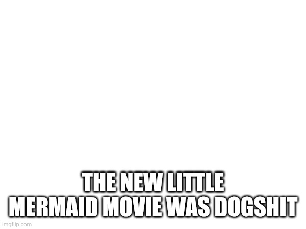 THE NEW LITTLE MERMAID MOVIE WAS DOGSHIT | made w/ Imgflip meme maker