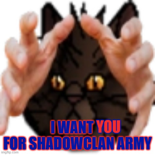 ShadowClan Recruitment | I WANT     FOR SHADOWCLAN ARMY; YOU | image tagged in brokenstar,shadowclan | made w/ Imgflip meme maker