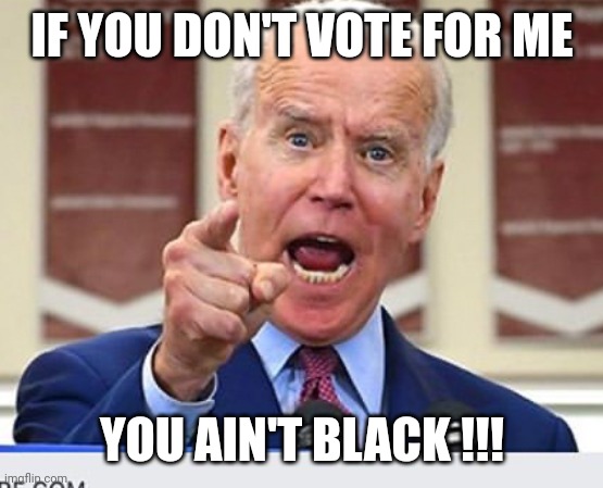 Joe Biden no malarkey | IF YOU DON'T VOTE FOR ME YOU AIN'T BLACK !!! | image tagged in joe biden no malarkey | made w/ Imgflip meme maker