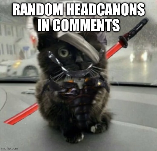 Doktor, Turn Off My Cute Inhibitors! | RANDOM HEADCANONS IN COMMENTS | image tagged in raiden cat | made w/ Imgflip meme maker