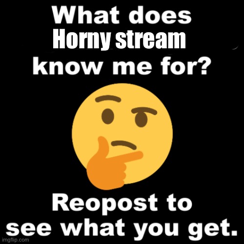 What does MS_memer_group know me for? | Horny stream | image tagged in what does ms_memer_group know me for | made w/ Imgflip meme maker