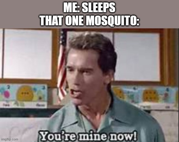 ME: SLEEPS
THAT ONE MOSQUITO: | made w/ Imgflip meme maker