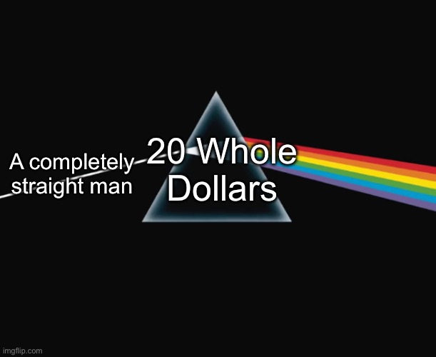 Pink Floyd (somebody probably made this meme before but whatever) | 20 Whole Dollars; A completely straight man | image tagged in pink floyd,funny,gay,shitpost,terrorism | made w/ Imgflip meme maker