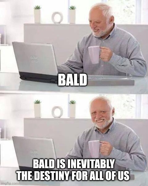 Bald = destiny | BALD; BALD IS INEVITABLY THE DESTINY FOR ALL OF US | image tagged in memes,hide the pain harold | made w/ Imgflip meme maker