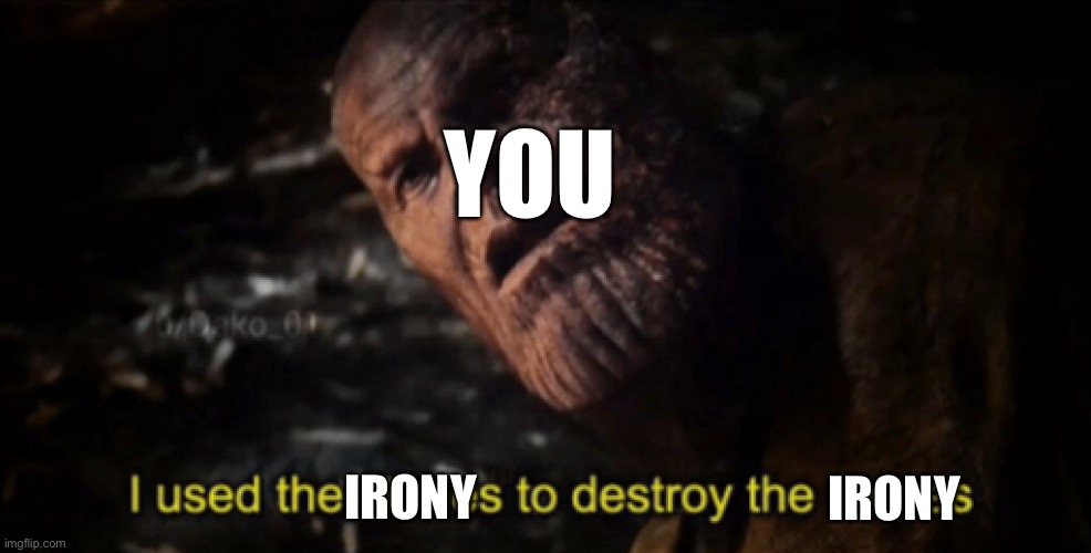 I used the stones to destroy the stones | IRONY IRONY YOU | image tagged in i used the stones to destroy the stones | made w/ Imgflip meme maker