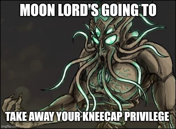Moon Lord | MOON LORD'S GOING TO TAKE AWAY YOUR KNEECAP PRIVILEGE | image tagged in moon lord | made w/ Imgflip meme maker