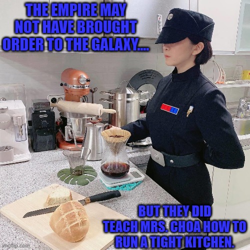 She opened up a coffee shop on her Star Destroyer and everybody loved it. Especially the Engineers and that 1 clone. | THE EMPIRE MAY NOT HAVE BROUGHT ORDER TO THE GALAXY.... BUT THEY DID TEACH MRS. CHOA HOW TO RUN A TIGHT KITCHEN. | image tagged in star wars,cosplay,korean,beautiful woman,empire,kitchen | made w/ Imgflip meme maker