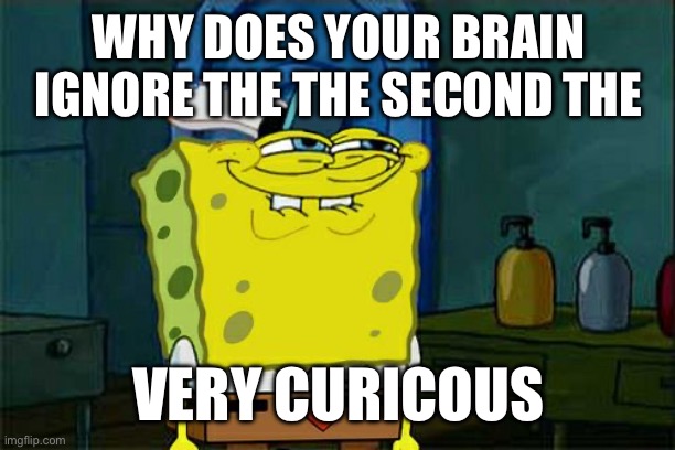 Comment if you see it | WHY DOES YOUR BRAIN IGNORE THE THE SECOND THE; VERY CURIOUS | image tagged in memes,don't you squidward | made w/ Imgflip meme maker