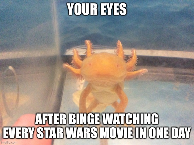 Binge watch | YOUR EYES; AFTER BINGE WATCHING EVERY STAR WARS MOVIE IN ONE DAY | image tagged in axolotl,movies | made w/ Imgflip meme maker
